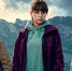 Детектив про горцев: какие тайны скрывает польский сериал «Шлебода» Фото №1 - Алтайская правда