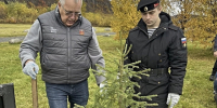 Возле мемориала «Земля единения» в посёлке Печенга высадили ели - Арктик-ТВ