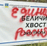 «Политические силы» испортили зону отдыха мурманчан - SeverPost.ru