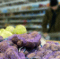 Цены на 24 вида продуктов начнут отслеживать с 1 января 2027 года - Info-Rm.Com