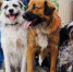 Гороскоп на 14 сентября 2026 года: Близнецы окажутся миротворцами, Козерогу придется менять планы - AmurMedia.Ru