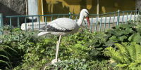 В начале следующей рабочей недели в Иркутске будет тепло - КП-Иркутск