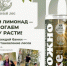 Эко-акция «Семейный лес» запустила коллаборацию на натуральные лимонады - Barneos22.ru