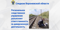 Следственное управление СК России по Воронежской области разъясняет ответственность за диверсионную деятельность - Следственный комитет