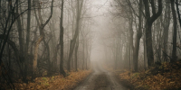 Туман с видимостью до 500 метров накроет Самарскую область 14 сентября - Комсомольская Правда Самара