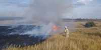 В Ростовской области на огромной площади горела трава - DonDay.Ru