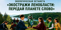 От школы к школе. Экостражи Ленобласти - Газета Тосненский вестник