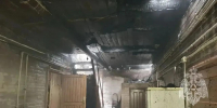 В Волосово при пожаре погиб ребенок. Еще одну девочку госпитализировали - 47 новостей