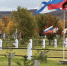 В Спутнике высадили молодые сосны в память о защитниках Родины - SeverPost.ru