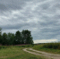 Картофель в поле - ИА Nord-News.Ru