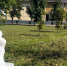 photo-2026-09-13-11-18-06 - Novosti-Saratova.Ru