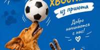 Футбол объединяет: помогаем вместе! - ФК Рязань-ВДВ