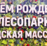 Лесопарк «Городская Массовка» в Дедовске открыт! - Газета Истра сегодня
