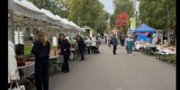 Традиционная осенняя сельскохозяйственная ярмарка прошла в парке культуры и отдыха. - Великоустюгский муниципальный округ