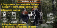 В лесу искать приходится и грибы, и грибников - Управление по делам ГОЧС