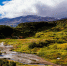Фото: Newlander90/Shutterstock/Fotodom - Ямал-Медиа