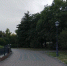 Туманное утро и теплый день пообещали жителям Ульяновска - Ulpravda.Ru