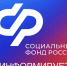 Более 10, 5 тыс. выходных дней оплатило ОСФР по Пензенской области родителям детей с инвалидностью - Тамалинский район