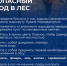Безопасный поход в лес. - Козульский район