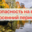 Осень - опасное время года для судоводителей. - Поспелихинский район