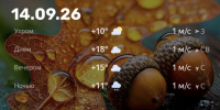 Screenshot - ЗА Новомосковск