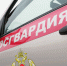 Росгвардейцы в Томской области обеспечили безопасность культурных, спортивных и религиозных мероприятий - Росгвардия