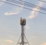 Сеть 5G запущена в Новосибирске - Газета Степная нива