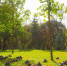 Фото: ПАИ - InformPskov.Ru