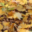 В Татарстане ожидается сухая погода и до +21 градуса 14 сентября - Газета Новая Кама
