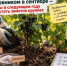 Как восстановить почву после картофеля – смесь из 3 компонентов заменит машину навоза - IrkutskMedia.Ru