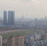 Желтый уровень опасности объявлен в Москве 15 сентября из-за тумана - M24.Ru