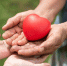 people-holding-rubber-heart.jpg - Центр Мой бизнес