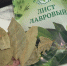 Лаврушку отправляю не в суп, а в грядки: четвертый год радуюсь своему дачному лайфхаку - Prochepetsk.ru