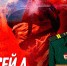 Новосибирского танкиста наградили медалью «За храбрость» - Gorsite.Ru