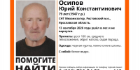 В Ярославской области ищут пропавшего79-летнего грибника - Ярославский регион