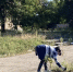 В продолжение темы благоустройства общественных пространств в нашем городском округе... - Город Первомайск