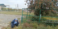 На территории Городищенского района проведены работы по благоустройству - Городищенский район
