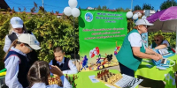 Юные жители Бурятии могут записаться в кружки и секции через Госуслуги и «Навигатор» - Infpol.Ru