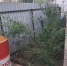 JPG Файл - ГУ МВД Нижегородской области