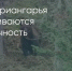 Поделитья во ВКонтакте - Братская Студия Телевидения