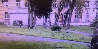 Изображение: прокуратура Петербурга - Мой район