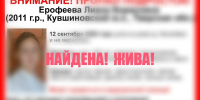 В Тверской области нашли пропавшую 15-летнюю девочку - Афанасий-биржа