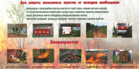 Осторожно, осень - Звезда