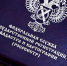 Жителям Абакана рассказали о биометрии, границах участка и реконструкции дома - ИА Хакасия