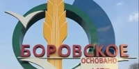 Сила сообщества: в селе Боровское объединились ради заботы о старшем поколении. - Алейский район