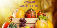 Сельскохозяйственная ярмарка в Юргамыше. - Юргамышский муниципальный округ