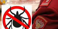Семеро ульяновцев заболели клещевым боррелиозом, ещё один — энцефалитом - Ulyanovsk.Express