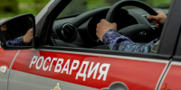 Патруль вневедомственной охраны Росгвардии задержал подозреваемую в краже сумки - Росгвардия