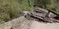 Фото: скриншот @maglipogoda_kanal | Мост рухнул в Приморье под тяжестью лесовоза - PrimPress.Ru