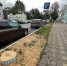 В Кирове посадки новых деревьев сопровождаются вырубкой старых - Kirov.Online